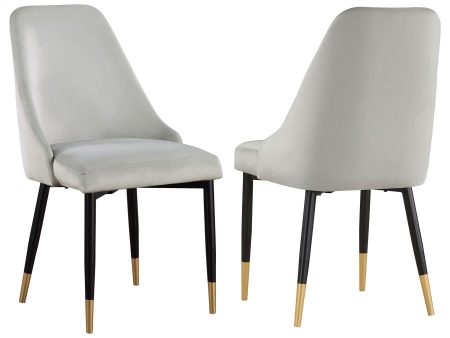 Gabrielle - Upholstered Dining Side Chair (Set of 2) - Gray Online Sale