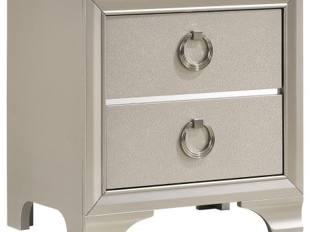 Salford - 2-Drawer Nightstand - Metallic Sterling For Sale