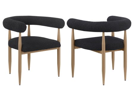 Dunmore - Upholstered Dining Side Chair (Set of 2) - Black Online now