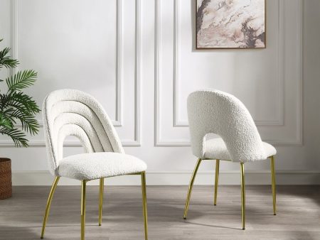 Fadri - Side Chair (Set of 2) - Teddy Sherpa & Mirrored Gold Online now