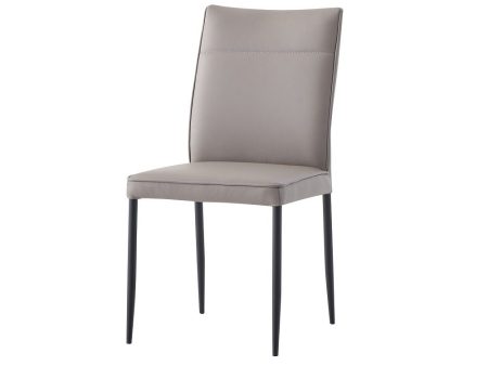 Rashard - Side Chair (Set of 2) - Smoky & Black Online